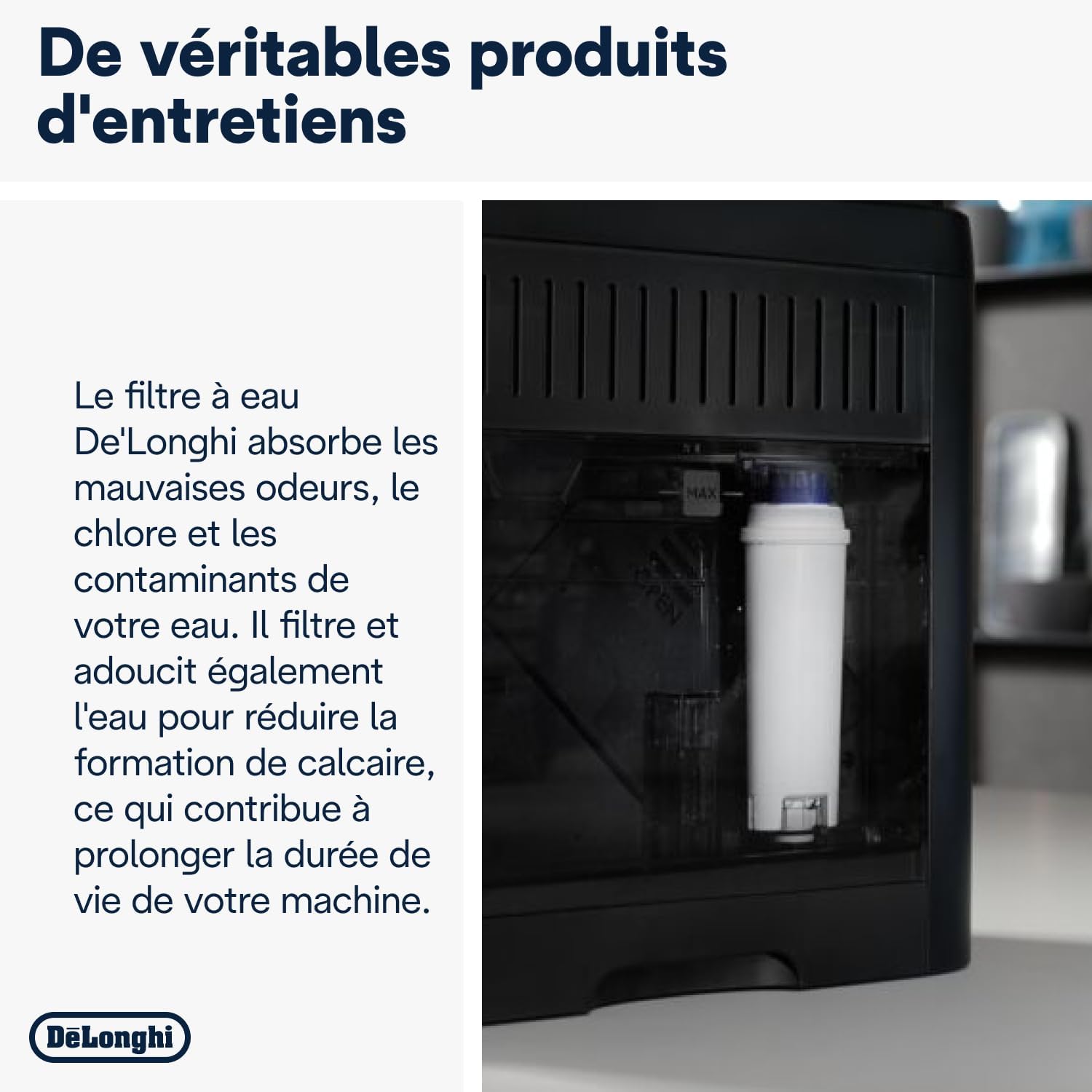 Cartouche filtrante - DELONGHI - DLSC002 pour machine à café à grains